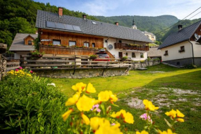 Apartments Kocjanc